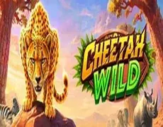 Cheetah Wild slot game tile